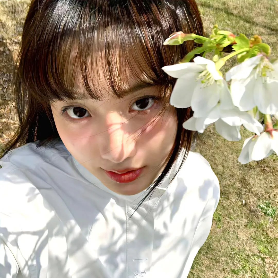 寻找妈妈